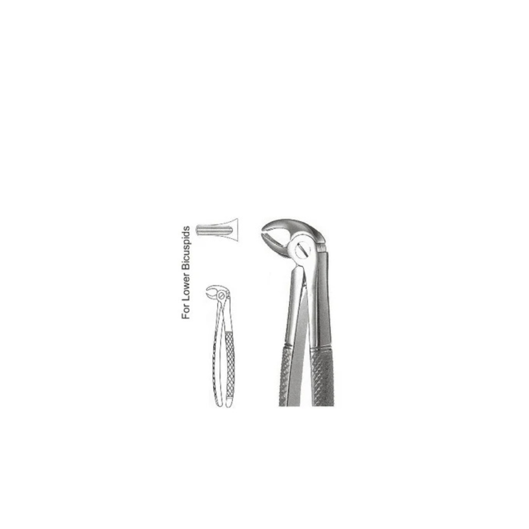 GH08-005 - Extracting Forceps (English Patterns), No. 13