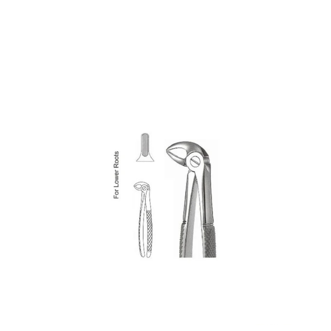 GH08-013 - Extracting Forceps (English Patterns), No. 33