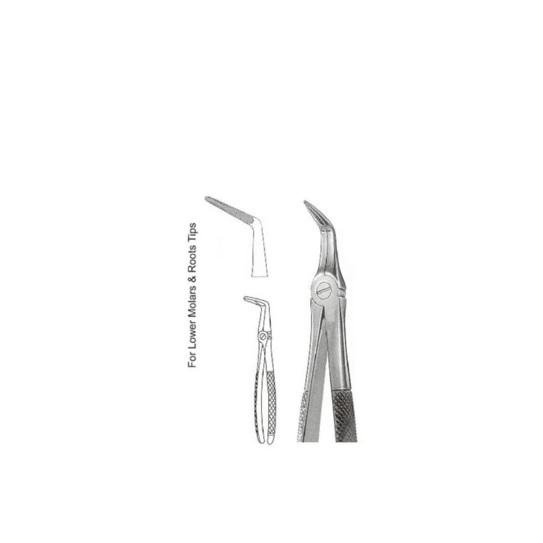 GH08-019 - Extracting Forceps (English Patterns), No. 46L