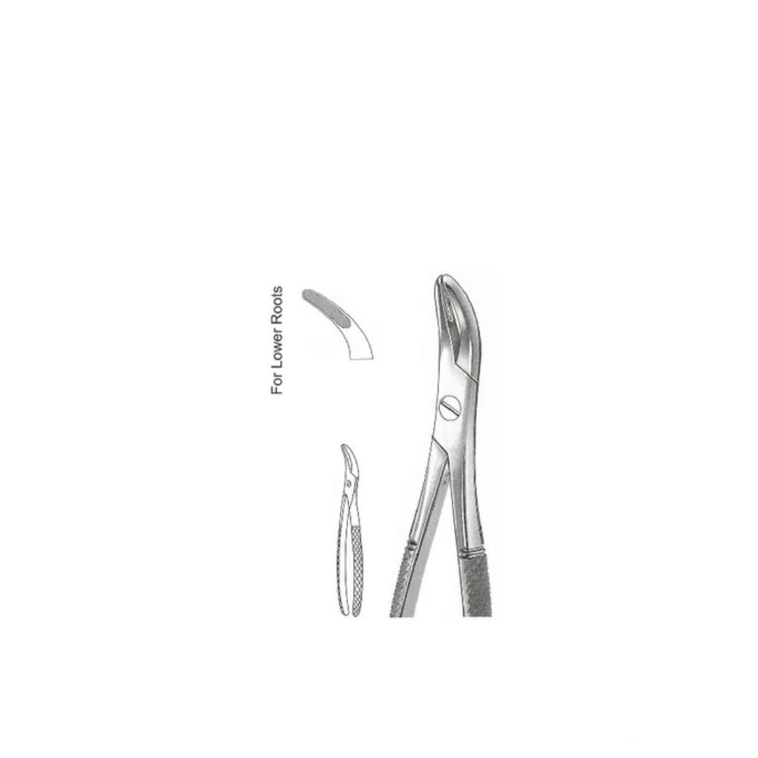 GH08-032 - Extracting Forceps (English Patterns), Witzel, No. 502, for Lower Roots