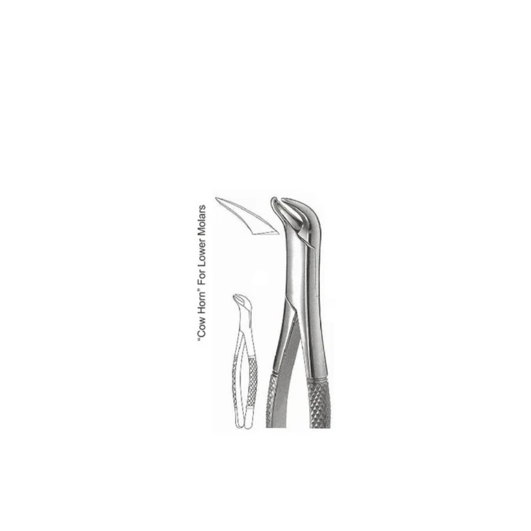 GH08-061 - Extracting Forceps (American Patterns), No. 23, Cowhorn