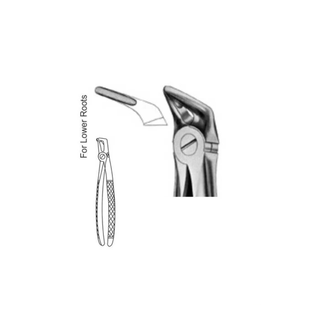 GH08-097 - Extracting Forceps (English Patterns), No. 31, Lower Roots