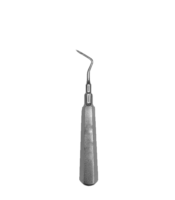 GH56-003 - Root Tip Pick, Howard, Right