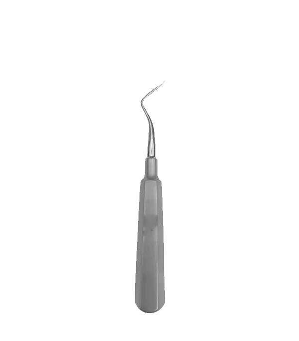 GH56-004 - Root Tip Pick, Up